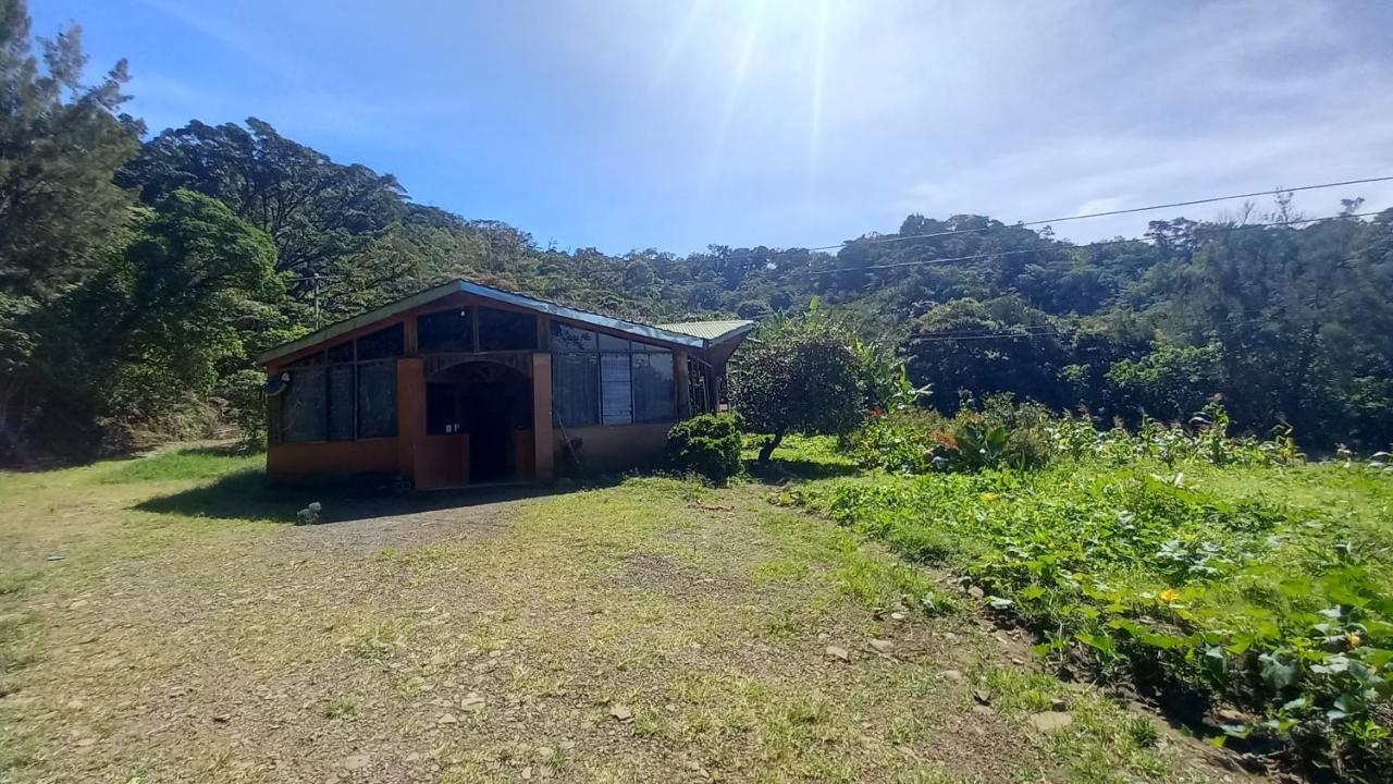 Finca Pantera Ξενοδοχείο Monteverde Εξωτερικό φωτογραφία