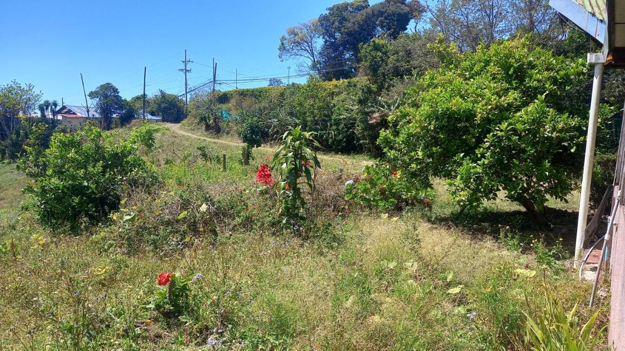 Finca Pantera Ξενοδοχείο Monteverde Εξωτερικό φωτογραφία