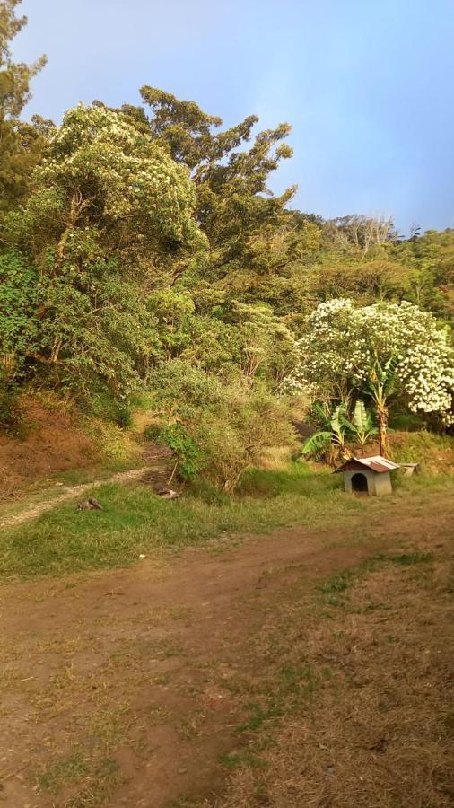 Finca Pantera Ξενοδοχείο Monteverde Εξωτερικό φωτογραφία