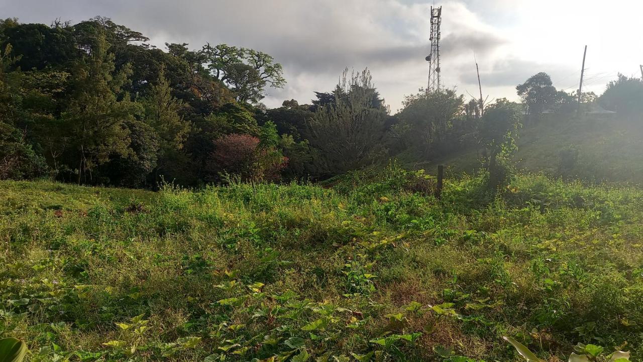 Finca Pantera Ξενοδοχείο Monteverde Εξωτερικό φωτογραφία