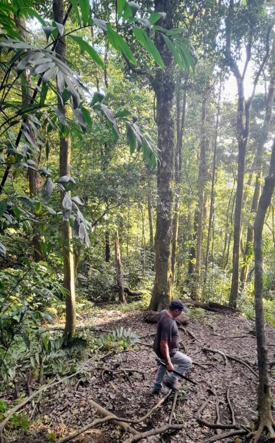 Finca Pantera Ξενοδοχείο Monteverde Εξωτερικό φωτογραφία