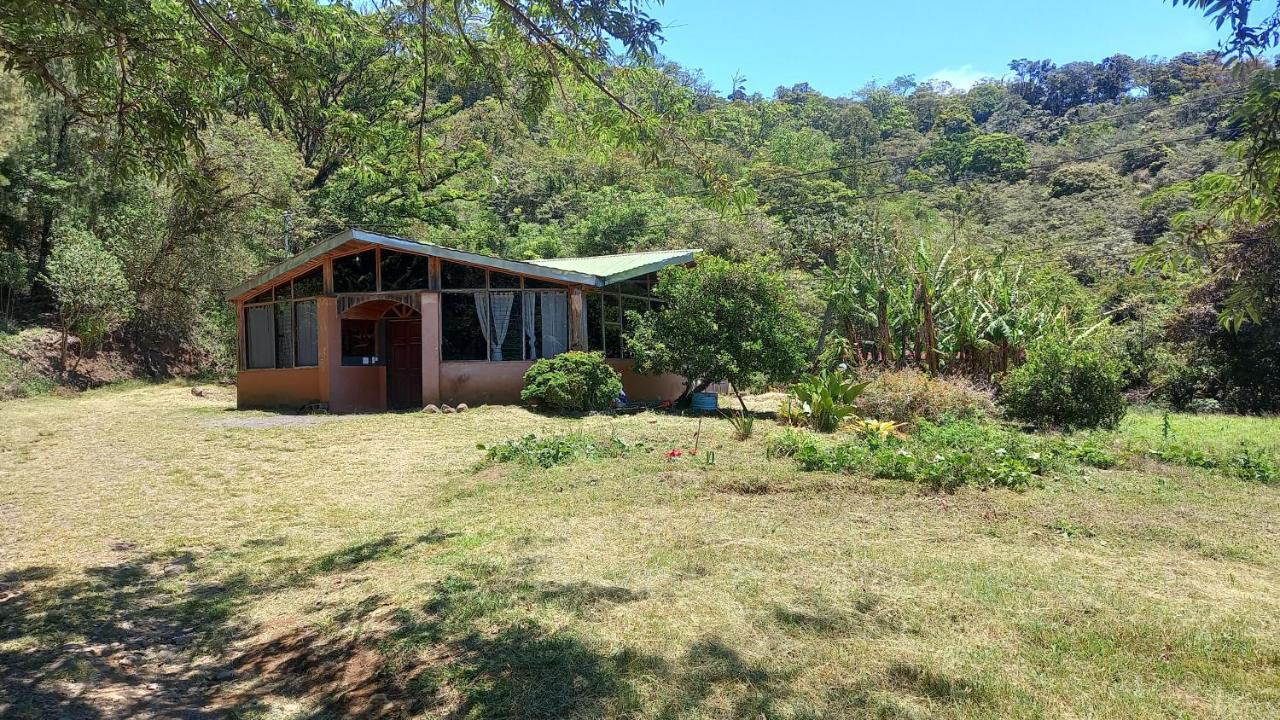 Finca Pantera Ξενοδοχείο Monteverde Εξωτερικό φωτογραφία